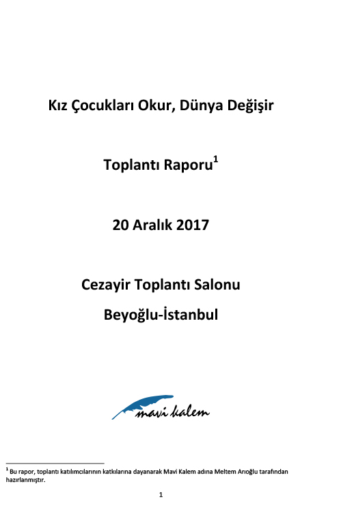 20aralik2017rapor